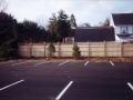 70873525.jpg