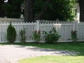 70873545.jpg
